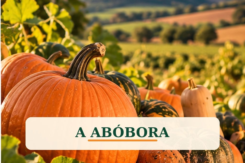 A Abóbora - Festival da Abóbora da Atalaia